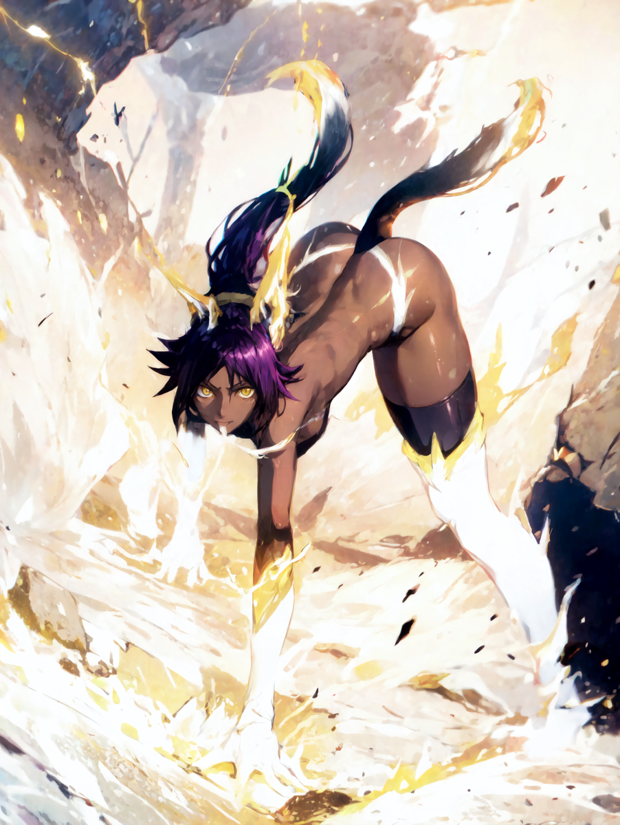 夜一さん(BLEACH)-pixiv插画-作品交流服务