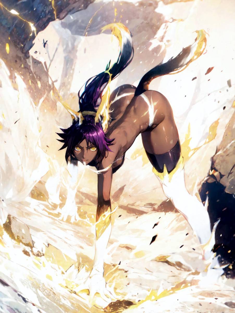夜一さん(BLEACH)-pixiv插画-作品交流服务