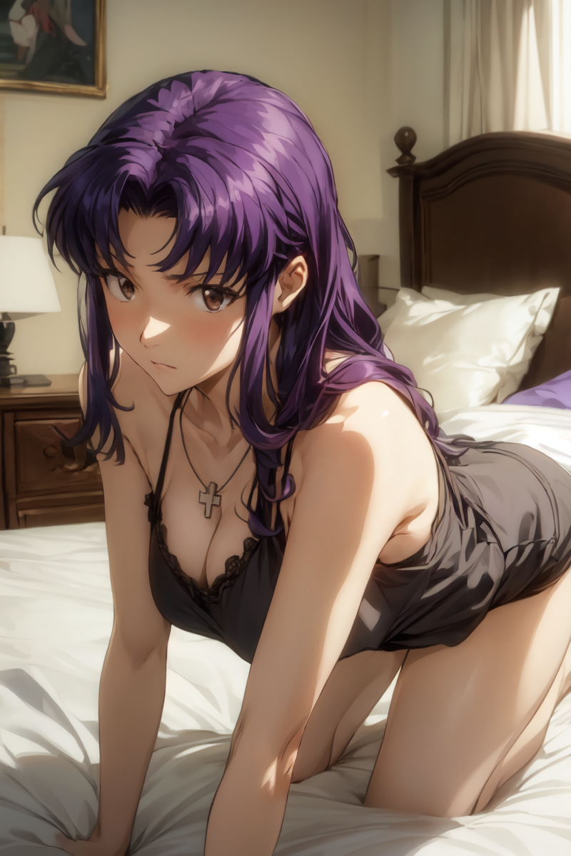 ミサトさん-pixiv插画-作品交流服务