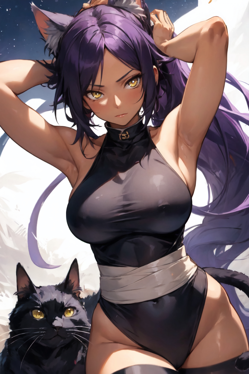 夜一(両手上げ)-pixiv插画-作品交流服务