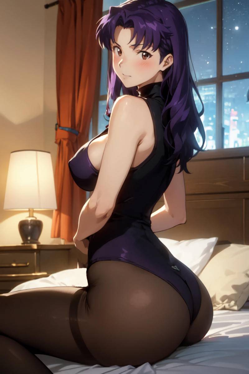 ミサトさん(色々)-pixiv插画-作品交流服务