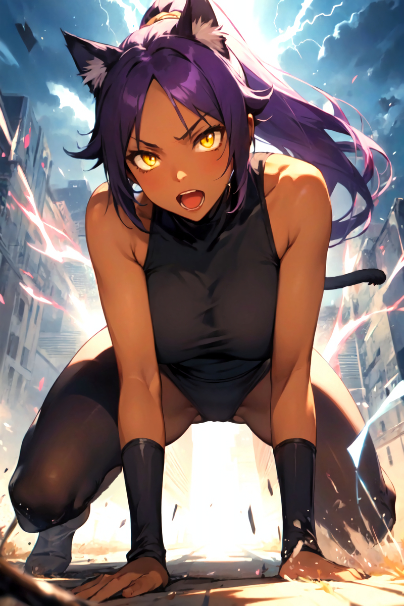 夜一さん(猫)-pixiv插画-作品交流服务