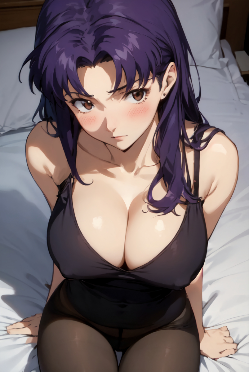 ミサトさん(上から)-pixiv插画-作品交流服务