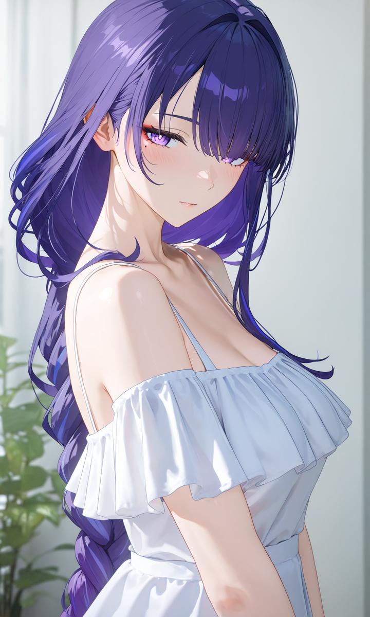 Raiden Shogun-pixiv插画-作品交流服务