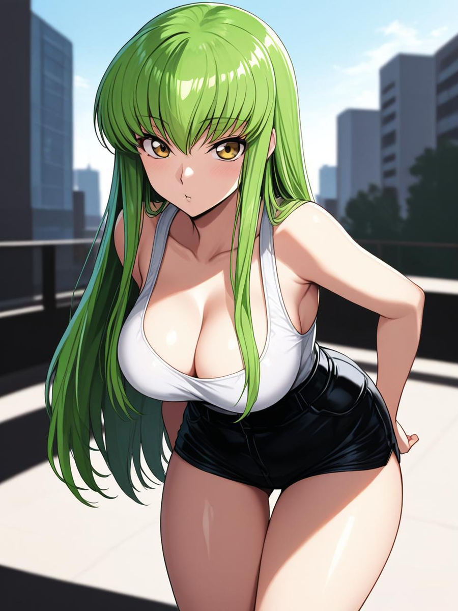 C.C. 06-pixiv插画-作品交流服务