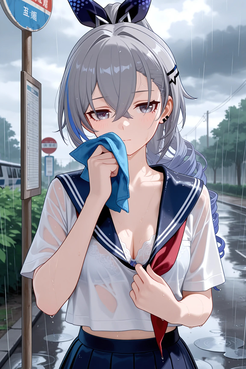 銀狼 Silver Wolf 10-pixiv插画-作品交流服务