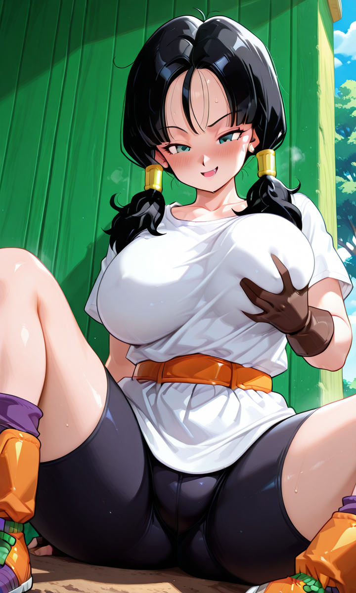 Videl-pixiv插画-作品交流服务